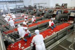 L'Italia è tra i primi 3 Paesi al mondo produttori di pomodori da trasformazione