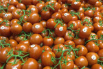 Il pomodoro pelato rappresenta il 65% di tutto il pomodoro prodotto al Sud, ricorda il presidente di Alleanza Cooperative Agroalimentari, Giorgio Mercuri