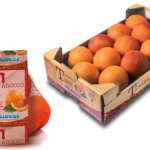 L'arancia tarocco, un superfood nazionale ricco di antocianine