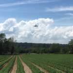 Droni utilizzati in campo. L'agricoltura di precisione è sempre più necessaria per rispondere ai cambiamenti climatici e agli attacchi di patogeni