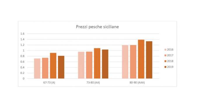 Cresce l'apprezzamento per le pesche siciliane tardive, un prodotto di alta qualità e dal gusto dolce