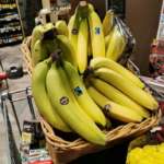Le banane Solidal Nova Coop