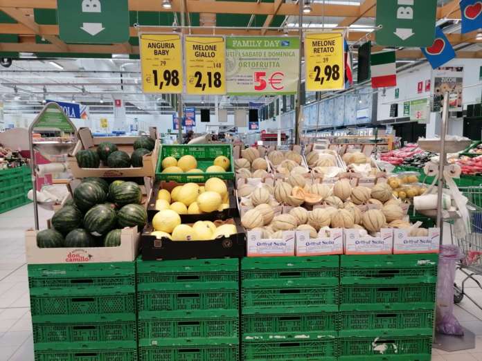 È alta la disponibilità del melone retato siciliano