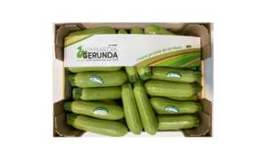 Zucchine chiare a marchio Lombardia Gerunda