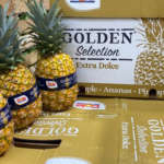 Dole Italia, ananas verticale Golden Selection Extra