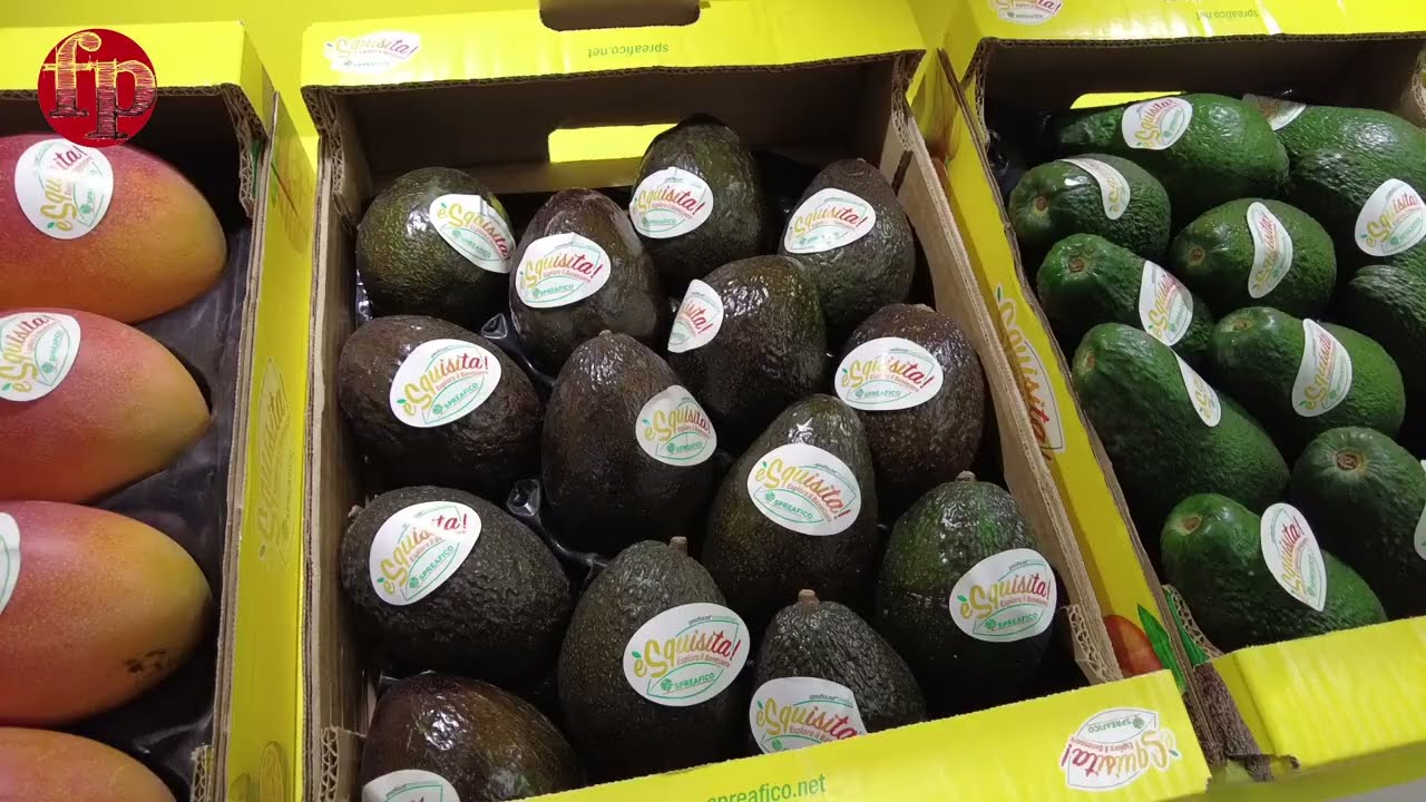 FreshPoint  Avocados, Haas