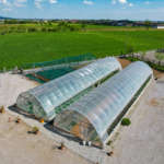 Le serre dell'azienda agricola Il Colmetto, in Franciacorta