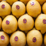 Limone di Siracusa tutelato dal marchio Igp