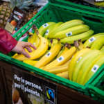 Banane certificate Fair Trade nella gdo