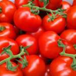 Rivaldo F1, il pomodoro a grappolo sviluppato da Cora Seeds per i produttori siciliani
