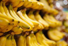 banana banane