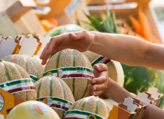 Il Melone Mantovano Igp è una delle eccellenze ortofrutticole del made in Italy