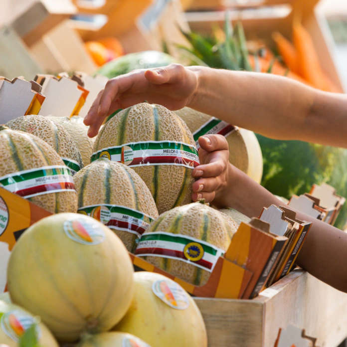 Il Melone Mantovano Igp è una delle eccellenze ortofrutticole del made in Italy