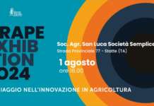 Un evento dedicato all'uva da tavola Arra