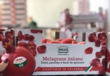 Le melagrane con il brand Gallo