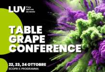 Cuore dell'evento la Table Grape Conference, la conferenza che durante la tre giorni affronterà i temi della filiera