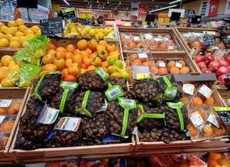 Le castagne sono in piena commercializzazione