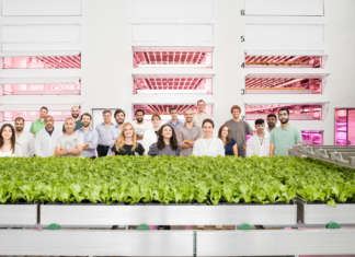 Il team della vertical farm Agricola Moderna