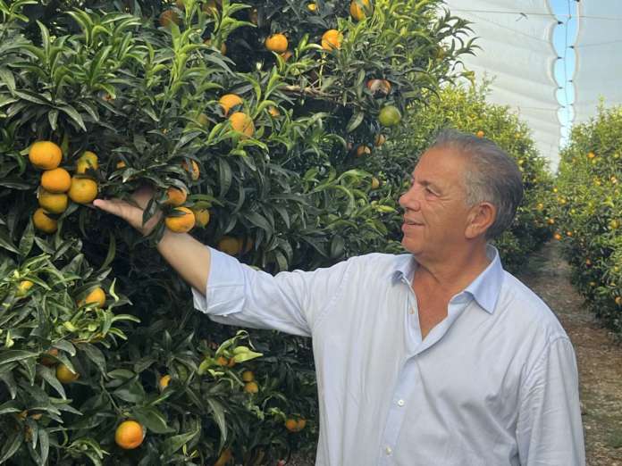 Natalino Gallo, presidente Op Agricor di Corigliano Rossano