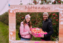 La raccolta di mele Pink Lady nel frutteto grazie al progetto Adotta un albero