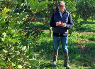 Alessandro Barbera, founder e direttore generale Gruppo Barbera