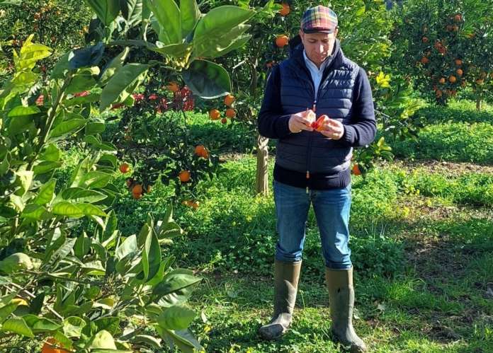 Alessandro Barbera, founder e direttore generale Gruppo Barbera