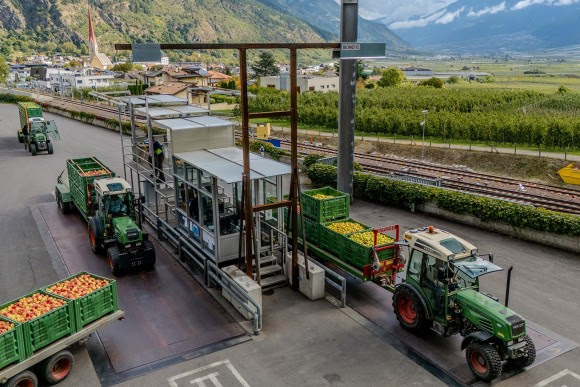 Trasporti di mele appena raccolte verso una moderna stazione di carico per organizzare il trasporto successivo